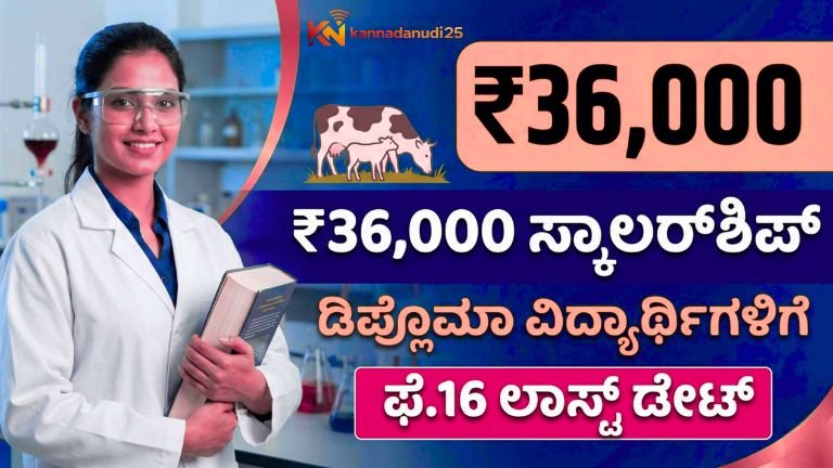 Diploma Scholarship 2026