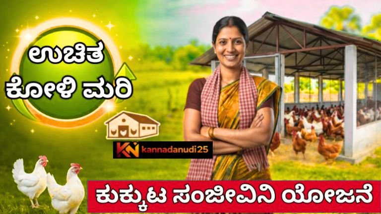 Kukkuta Sanjeevini Scheme