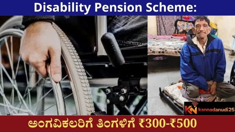 Disability